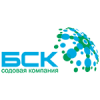 Логотип БСК